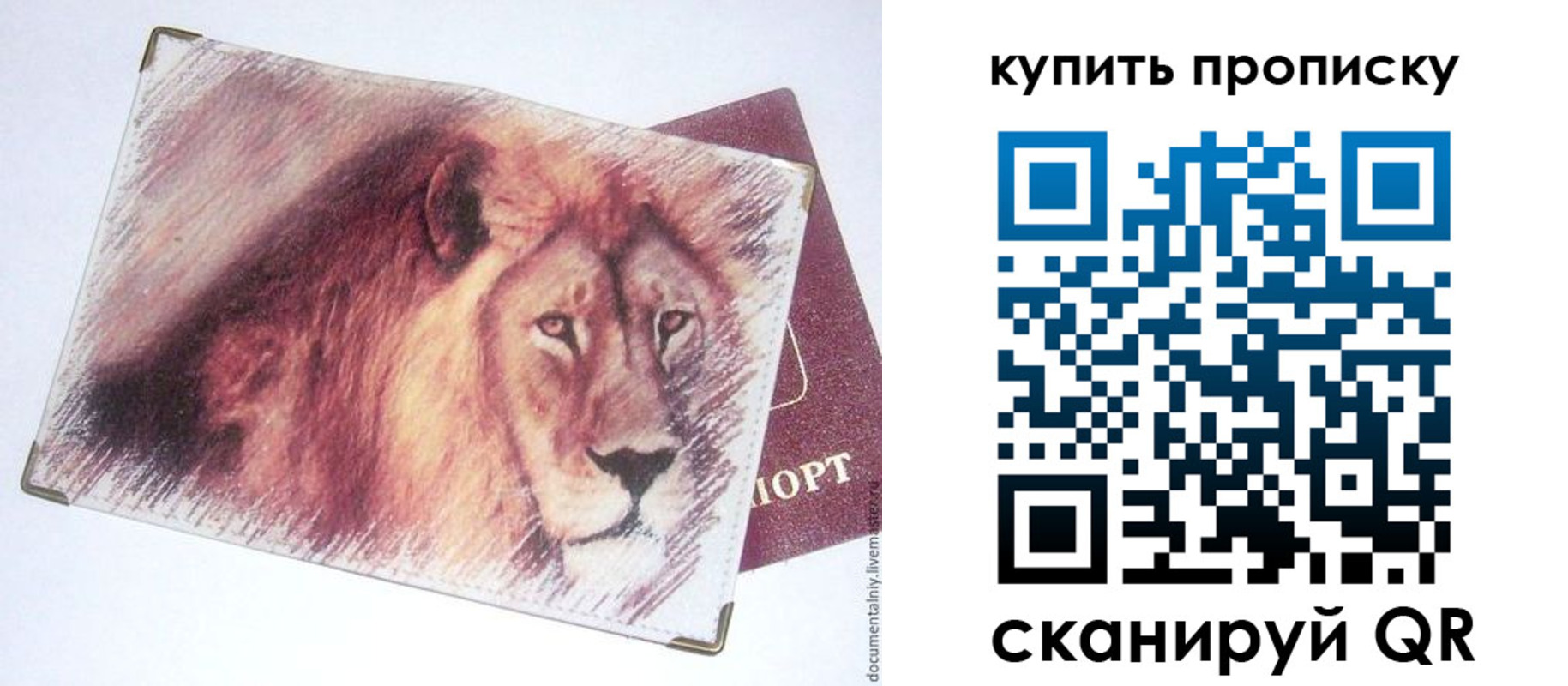 прописка паспорт в Киржаче